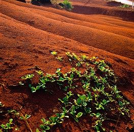 《永恒寒冬》10月内容更新上线：全新BOSS和地图